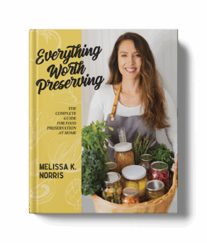 Everything Worth Preserving by Melissa K. Norris