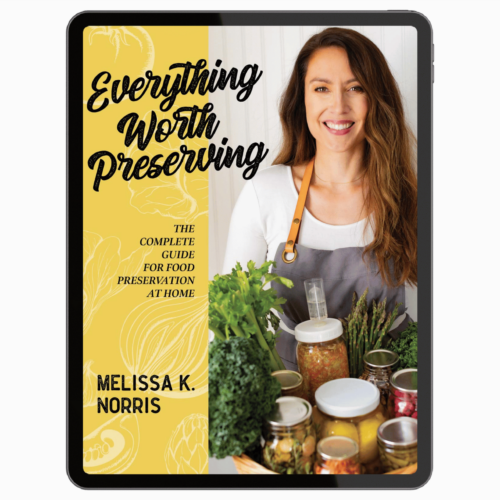 Everything Worth Preserving by Melissa K. Norris (eBook)