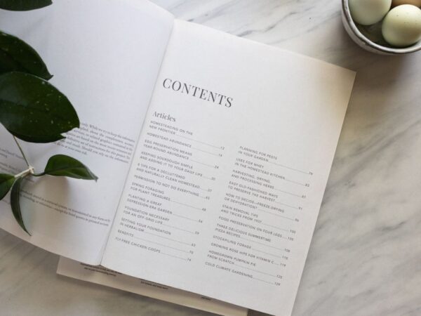 Collector's Edition 001 - Foundations - Image 3