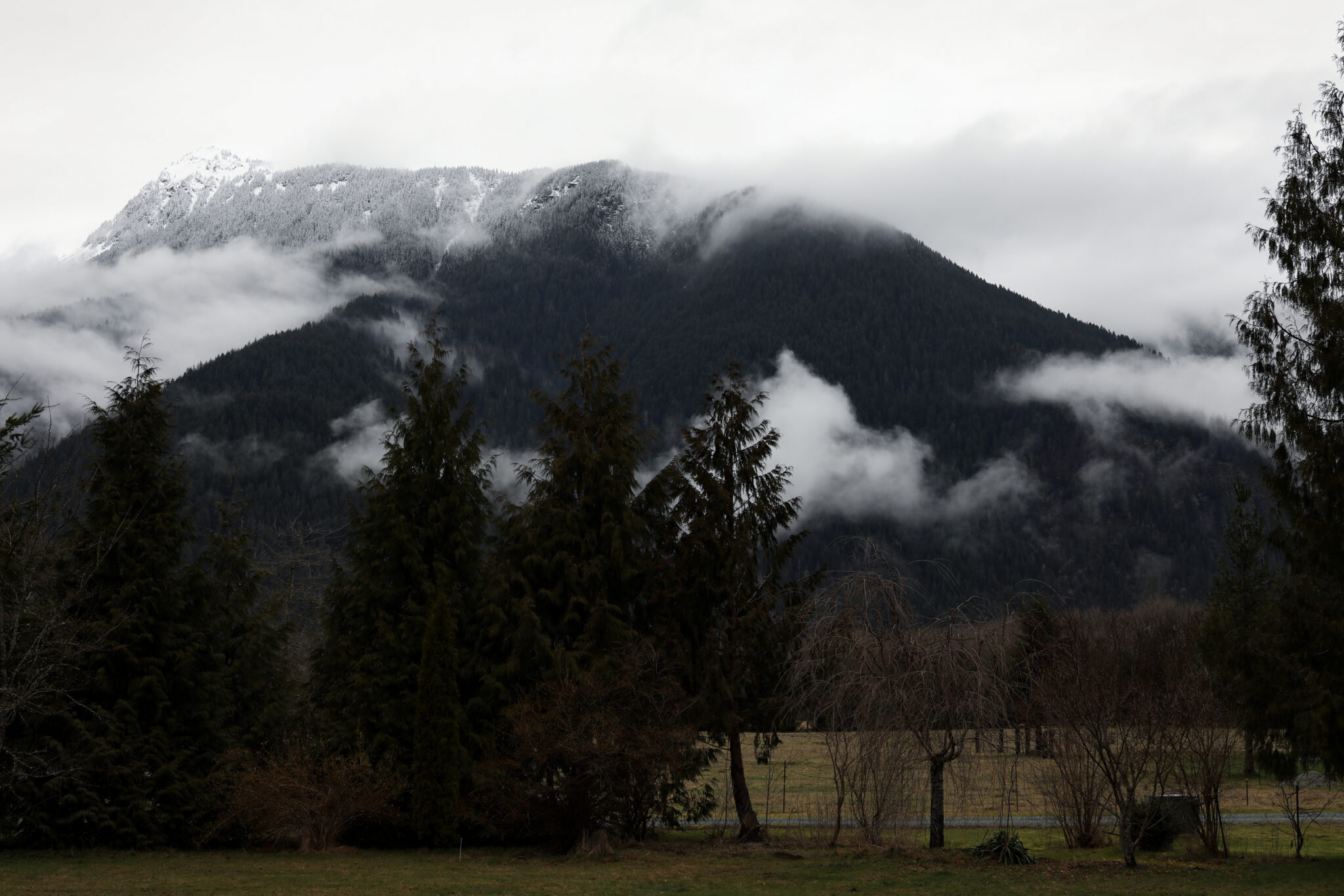 The Best Homesteading Shows on Television Homestead Living