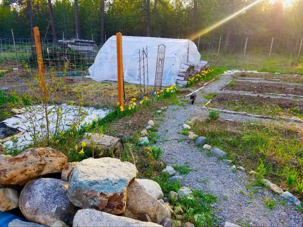 Cold Climate Gardening - Homestead Living