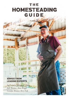 The Homesteading Guide