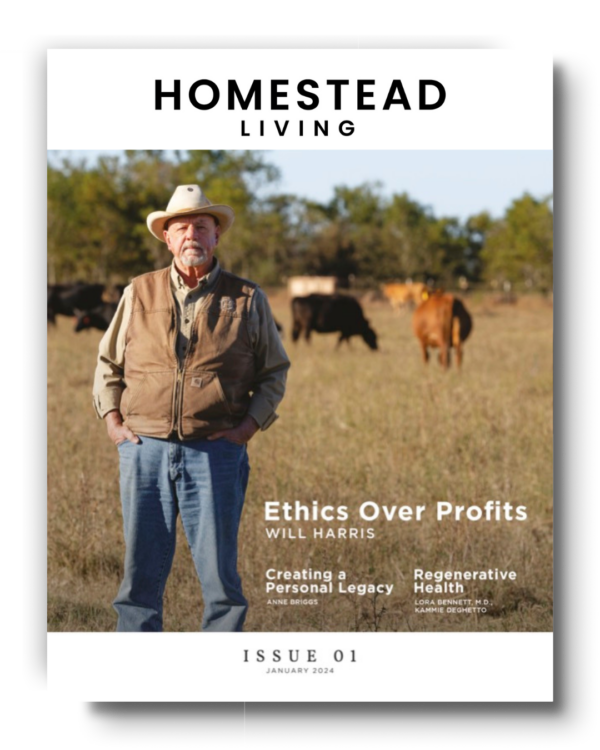 Homesteading Monthly: January 2024