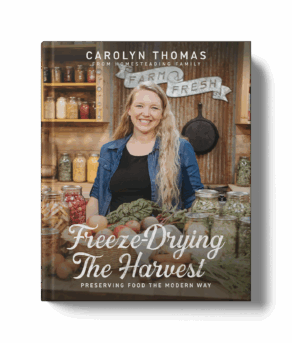 Freeze-Drying the Harvest by Carolyn Thomas