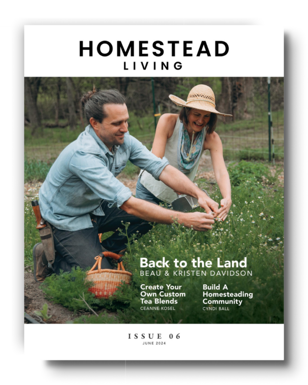 Homesteading Monthly: June 2024