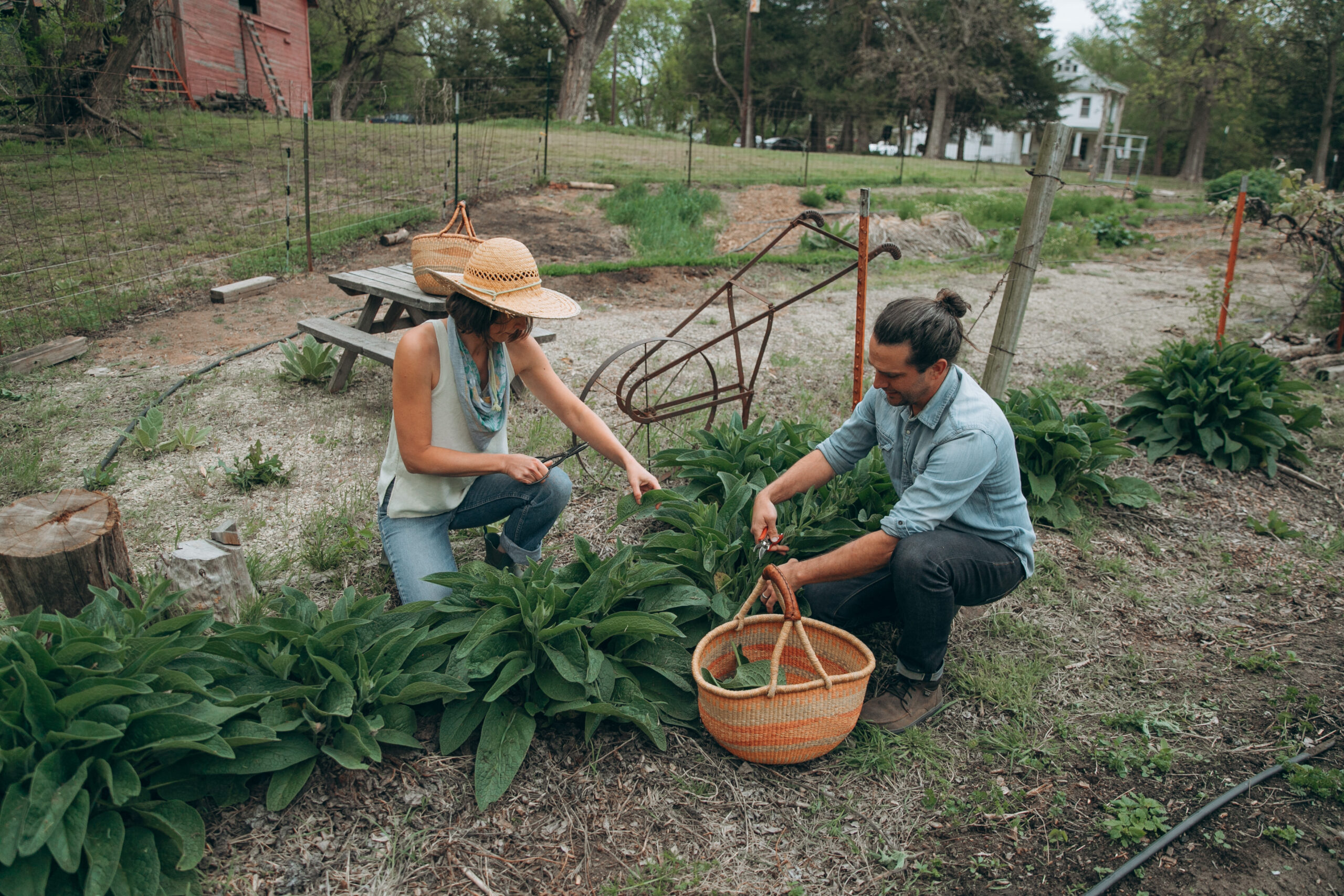 Support Your Budding Herbalists! 3 Fun & Easy Herbal Recipes Kids Will Love …