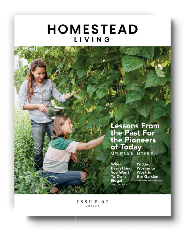 Homesteading Monthly: July 2024