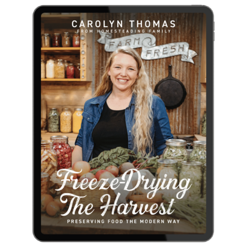 Freeze-Drying the Harvest by Carolyn Thomas (eBook)