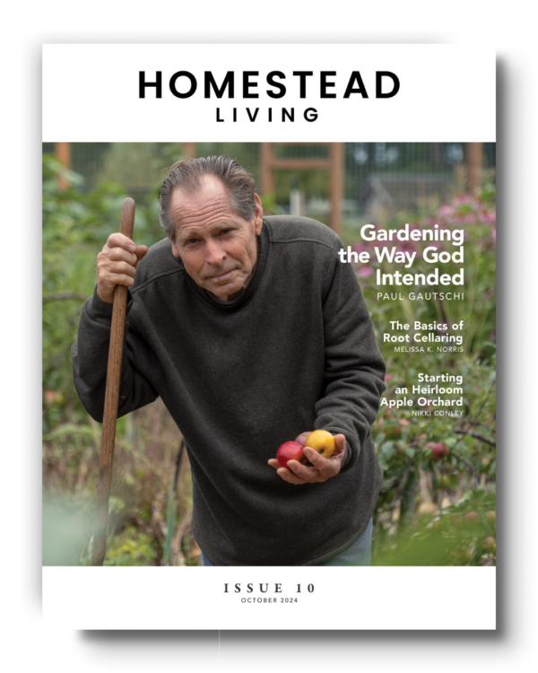 Homesteading Monthly: October 2024