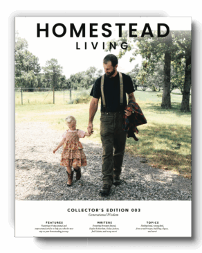 Collector's Edition 003 - Generational Wisdom