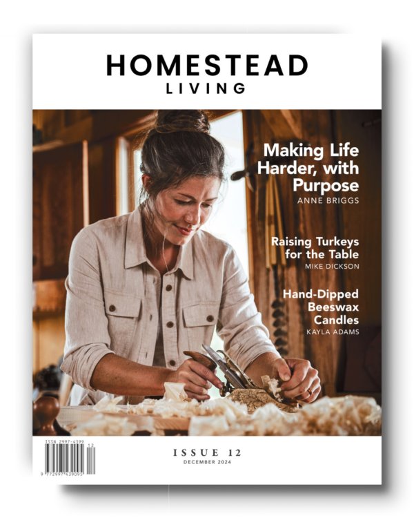 Homesteading Monthly: December 2024