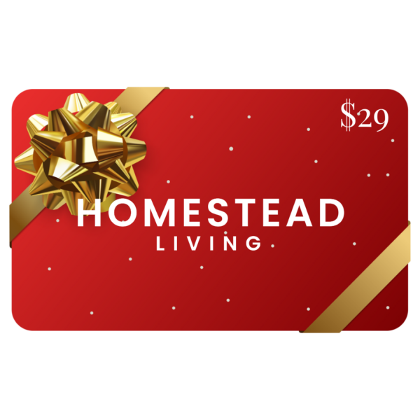 Gift Card 29