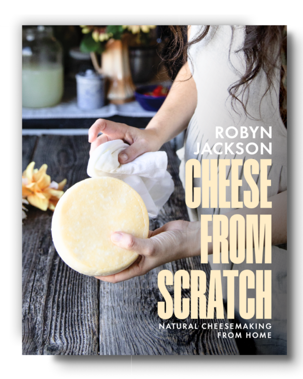 Cheese From Scratch by Robyn Jackson