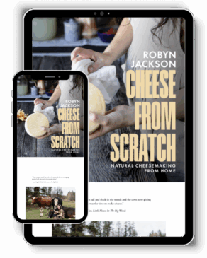 Cheese From Scratch by Robyn Jackson (eBook)