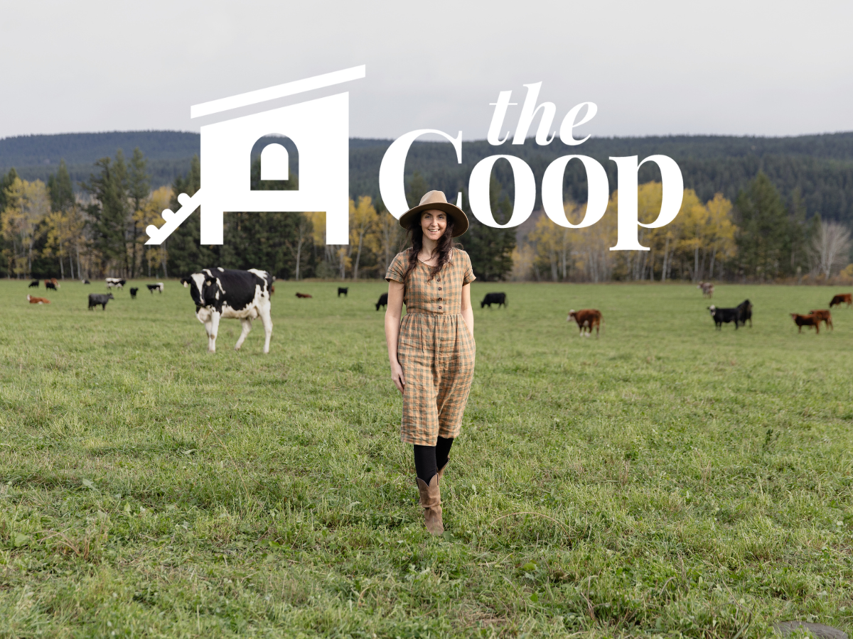 The Coop Ep. #02: Mastering Home Cheesemaking with Robyn Jackson