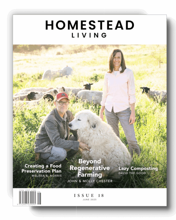 Homestead Living: June 2025
