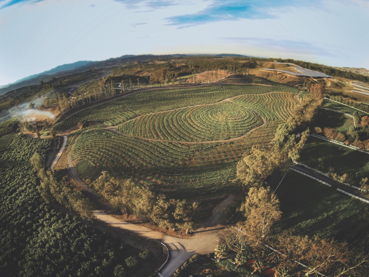 How John and Molly Chester Built a Truly Living, Self-Sustaining Farm