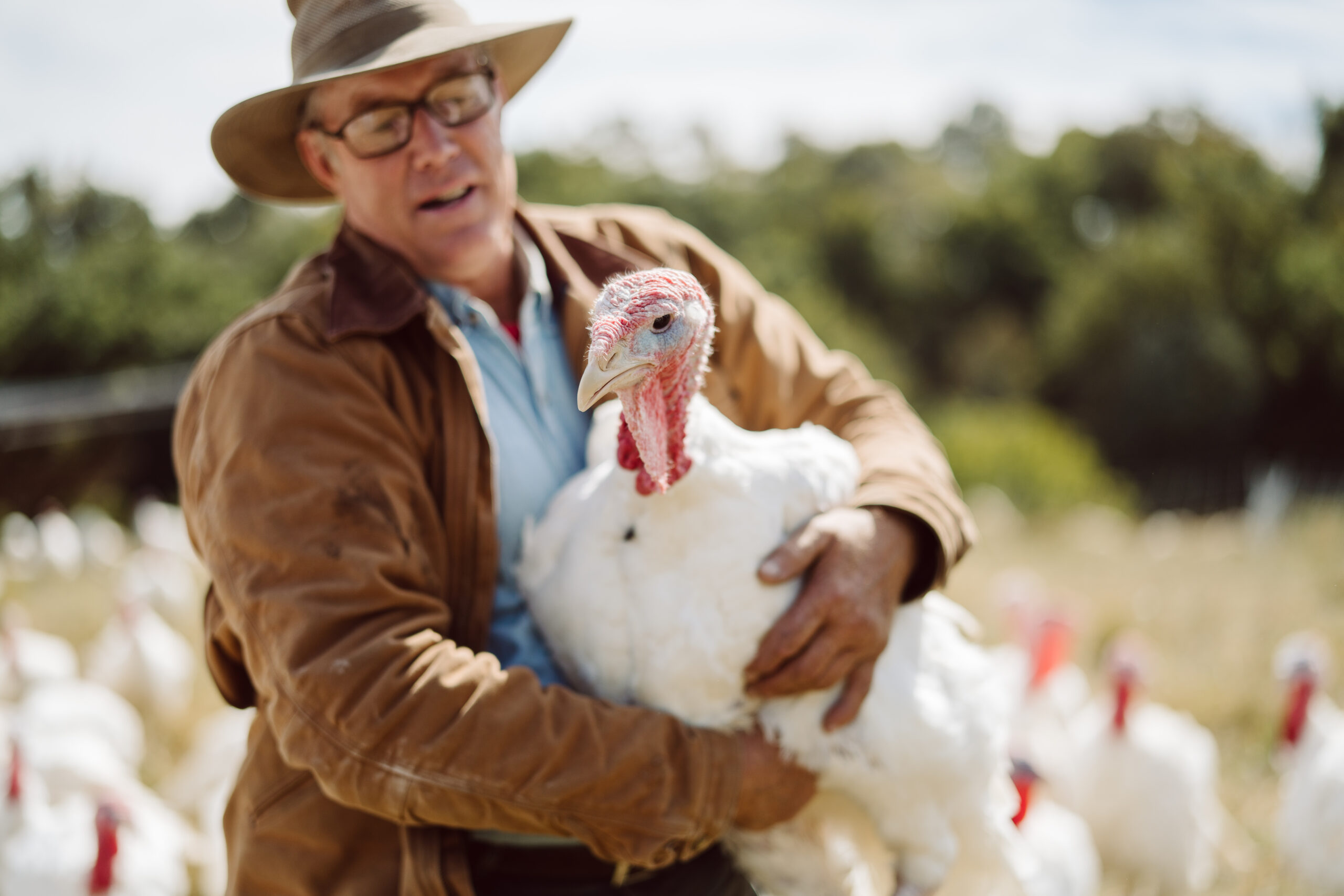 Jordan Peterson and Joel Salatin on the Virtues of Regenerative Farming and the Future of Agriculture in America