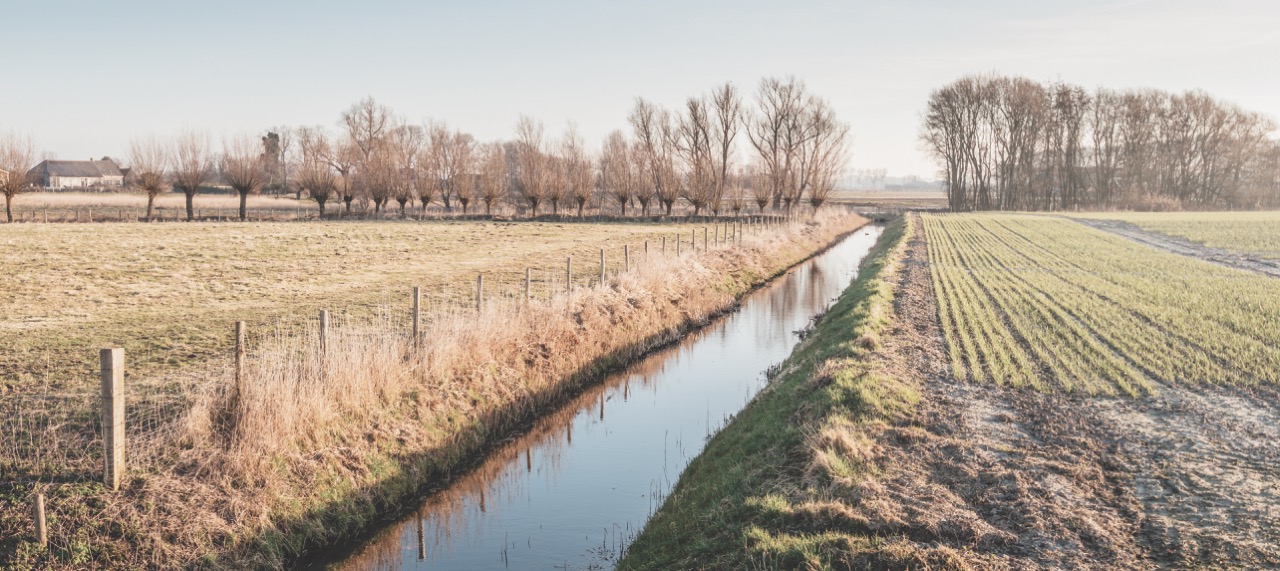 5 Things Every Homesteader Must Know About Water Rights