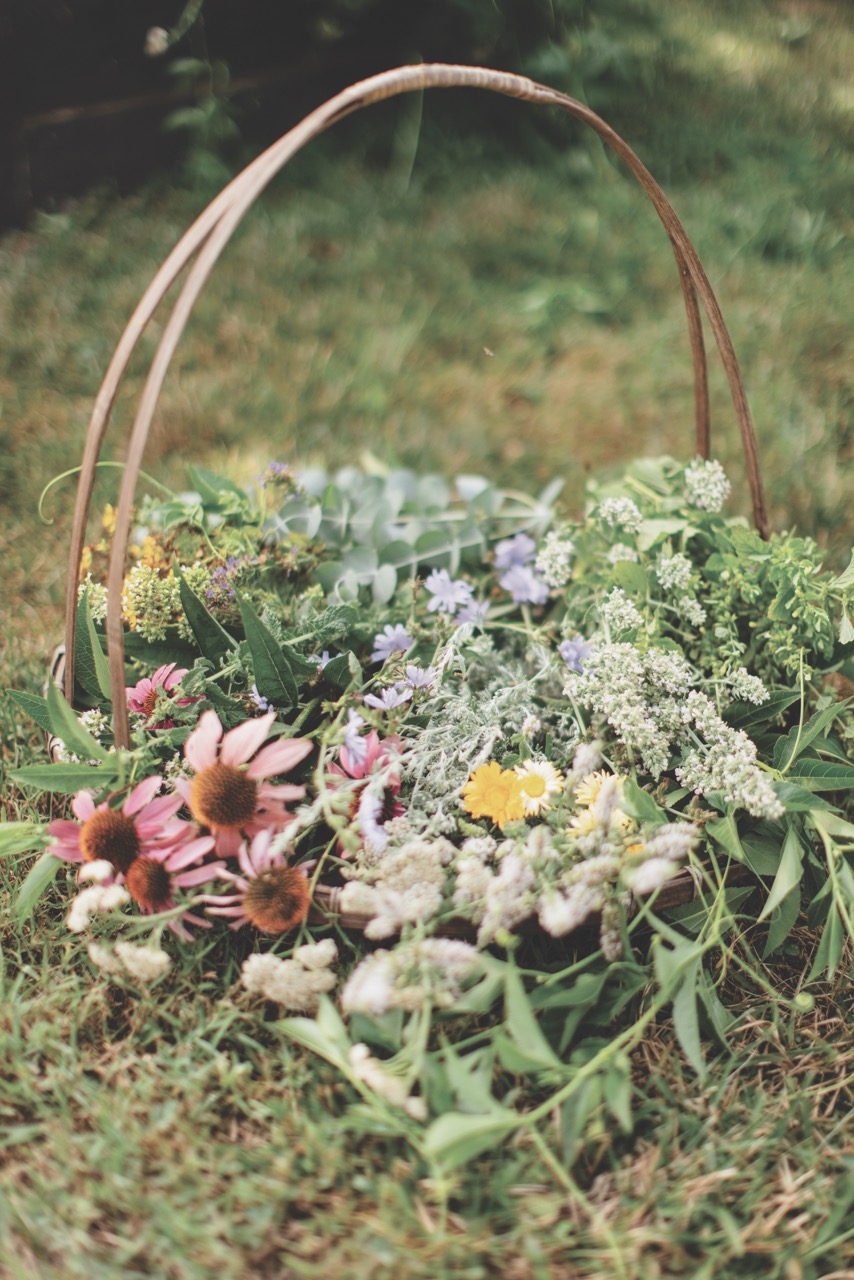 The Quiet Practice That Changes Everything on The Homestead