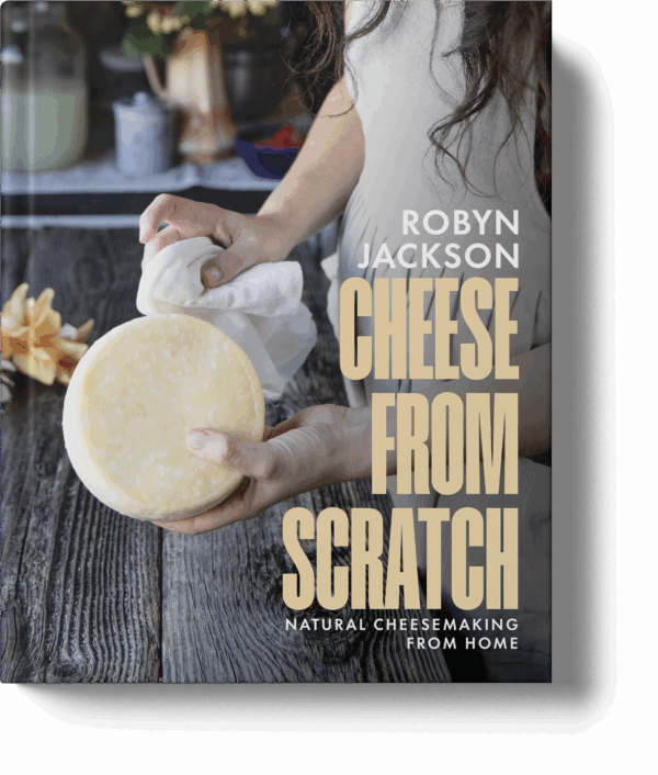 Cheese From Scratch by Robyn Jackson