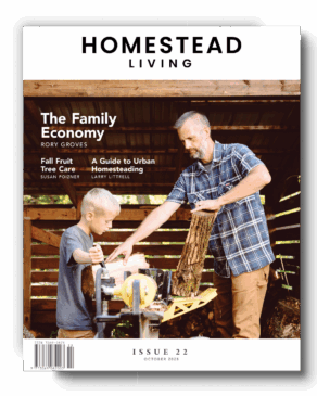 Homestead Living: October 2025