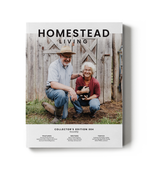 Collector's Edition 004 - Stewardship