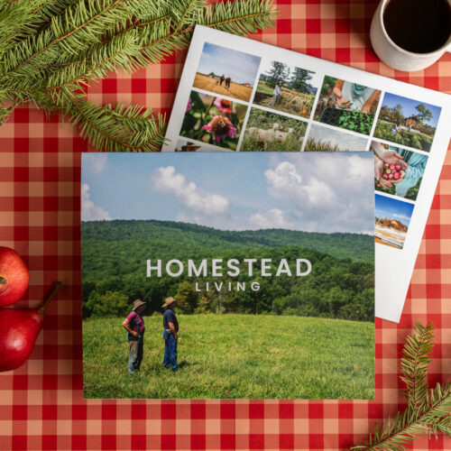 2026 Homestead Living Wall Calendar
