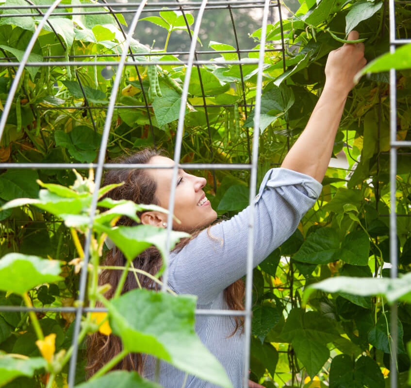 How to Push Through Homesteading Burnout