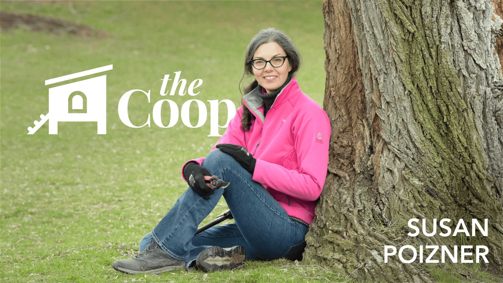 The Coop Episode #19: Growing Fruit Trees with Confidence w/ Susan Poizner
