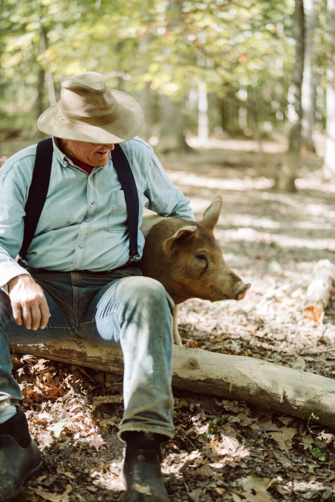 How to Keep Cool in Summer Heat: Practical Tips for You and Your Animals