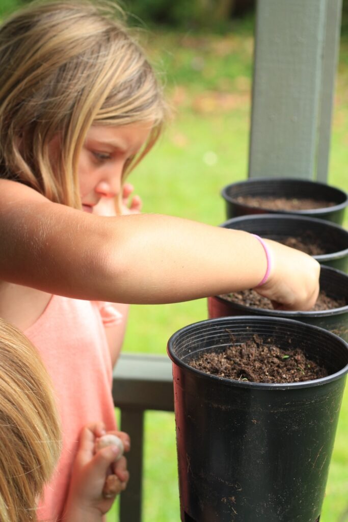 Homesteading in Hawaii: How to Create a Thriving Tropical Food Forest