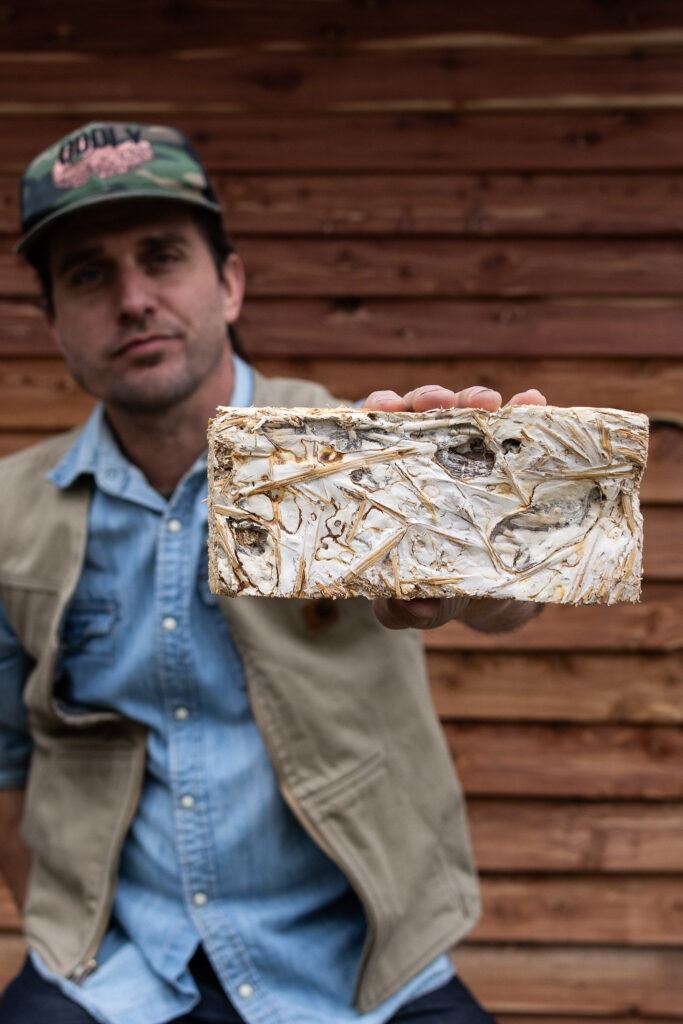 Getting Familiar with Fungus: A Simple Guide to Growing Mushrooms at Home