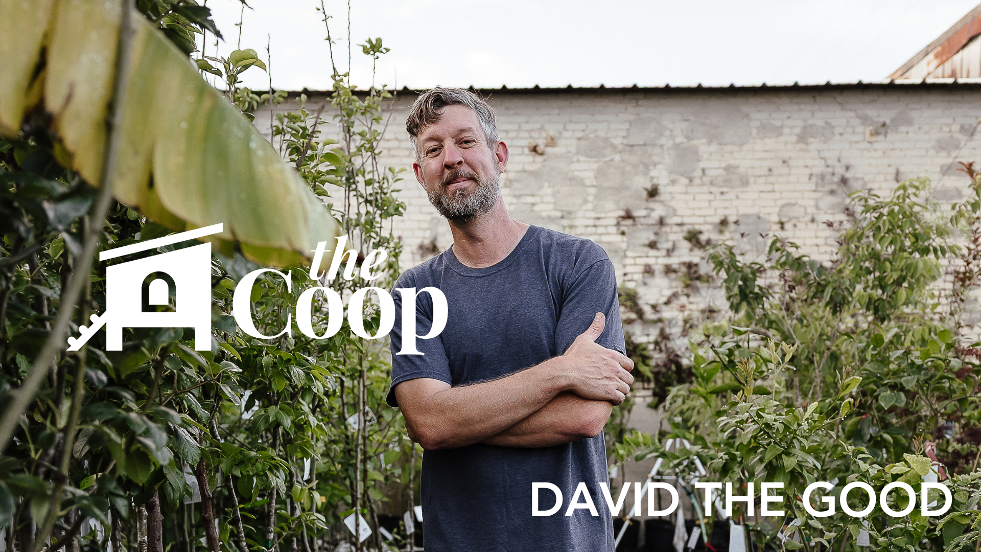 The Coop Episode #24: How to Grow Real Food That Actually Feeds Your Family w/ David The Good