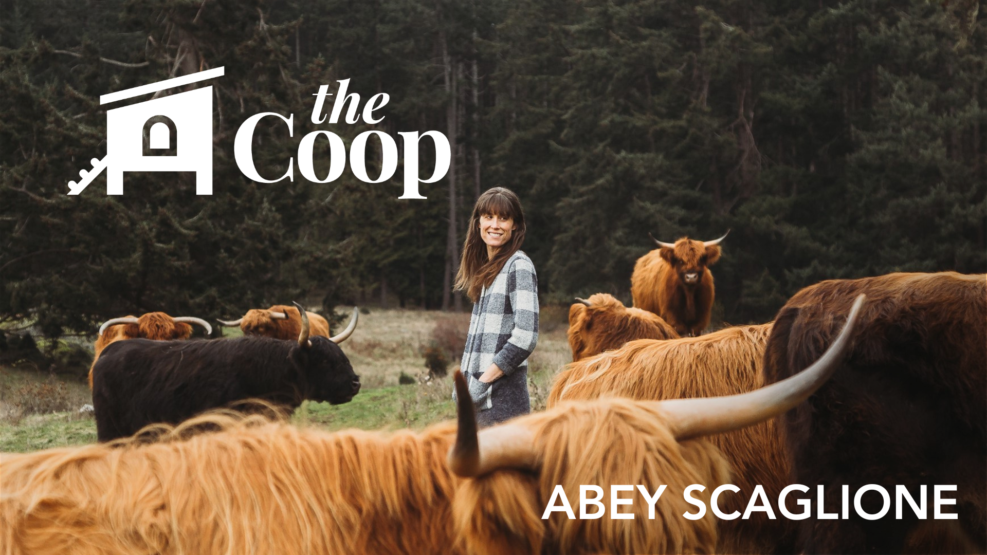The Coop Episode #25: Why Animal Foods Might Be the Missing Piece in Your Diet w/ Abey Scaglione