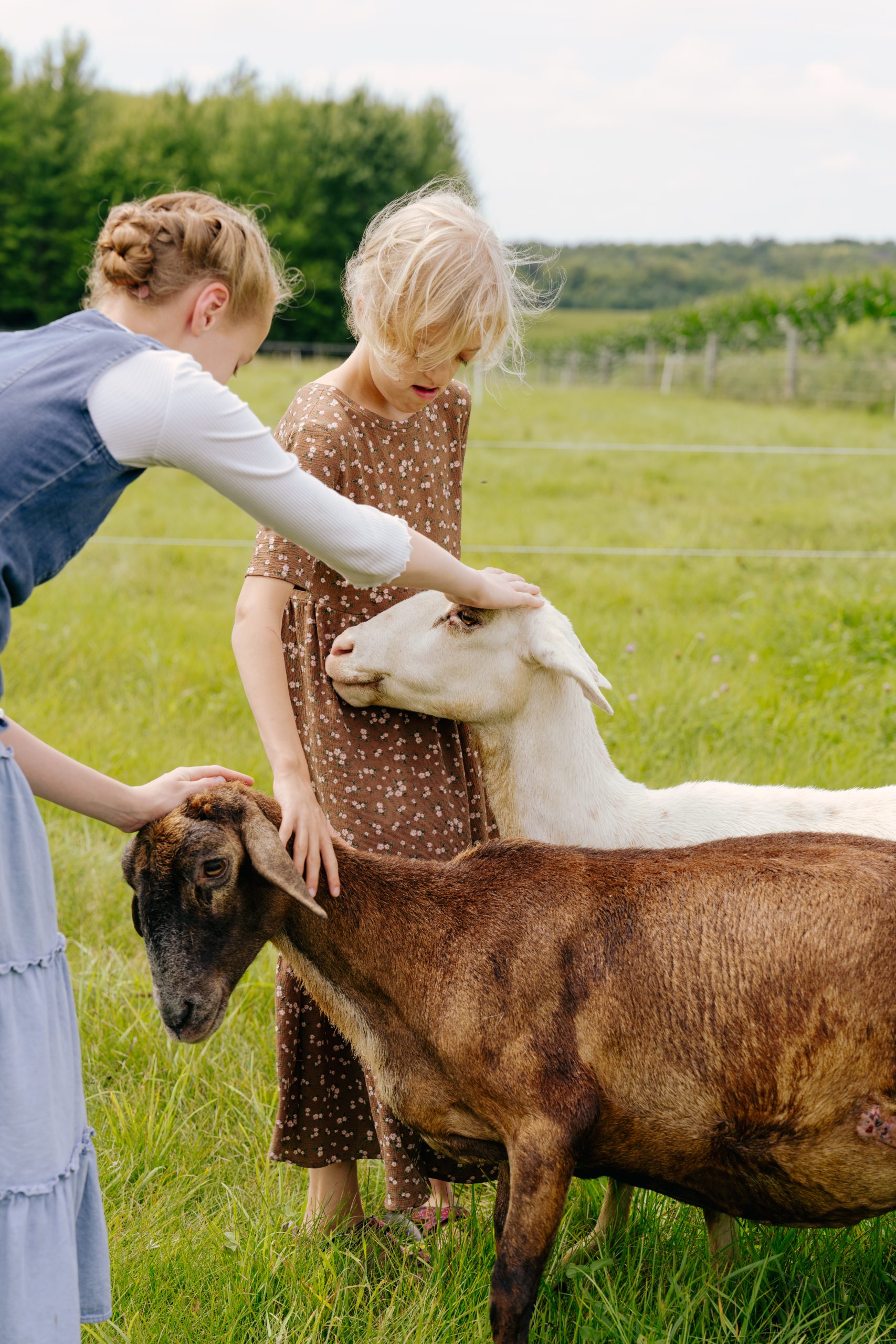 Rediscovering the Family as it Was Designed to Work